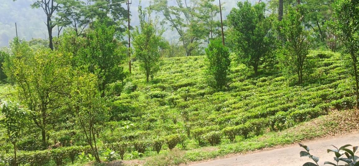 Lopchan Homesstay Darjeeling  Exterior foto